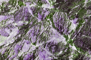 AP 127A1